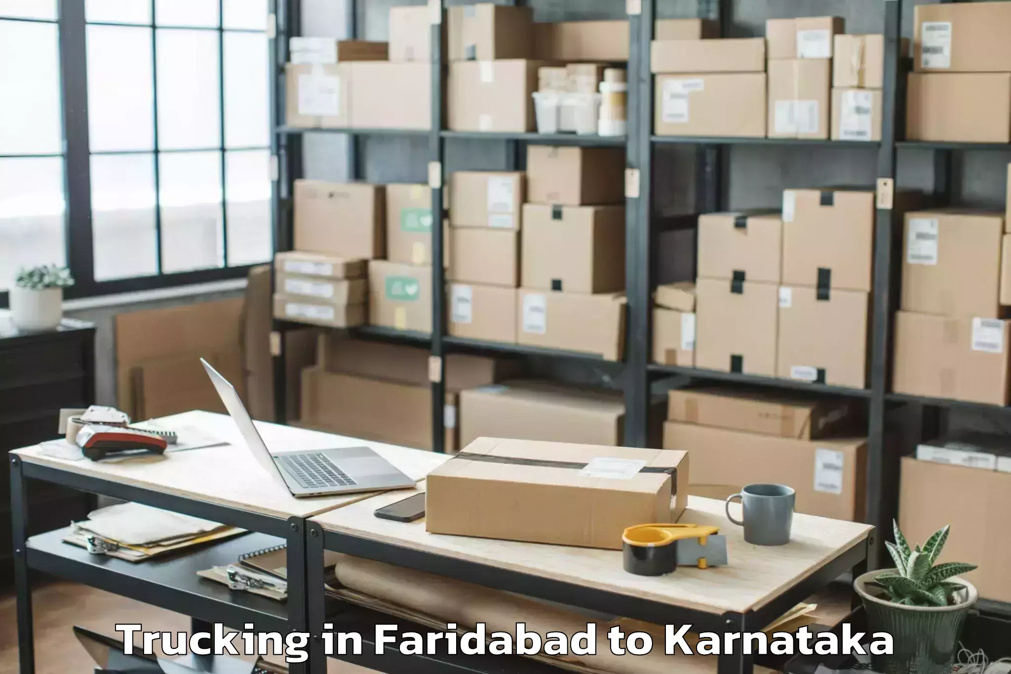 Book Faridabad to Piriyapatna Trucking Online